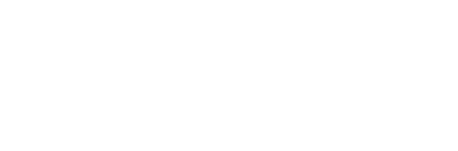 Hotel Viking Logo